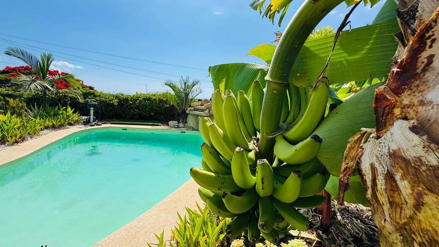 Chalet para 3 personas, con jacuzzi además de piscina y jardín en Tenerife - 4