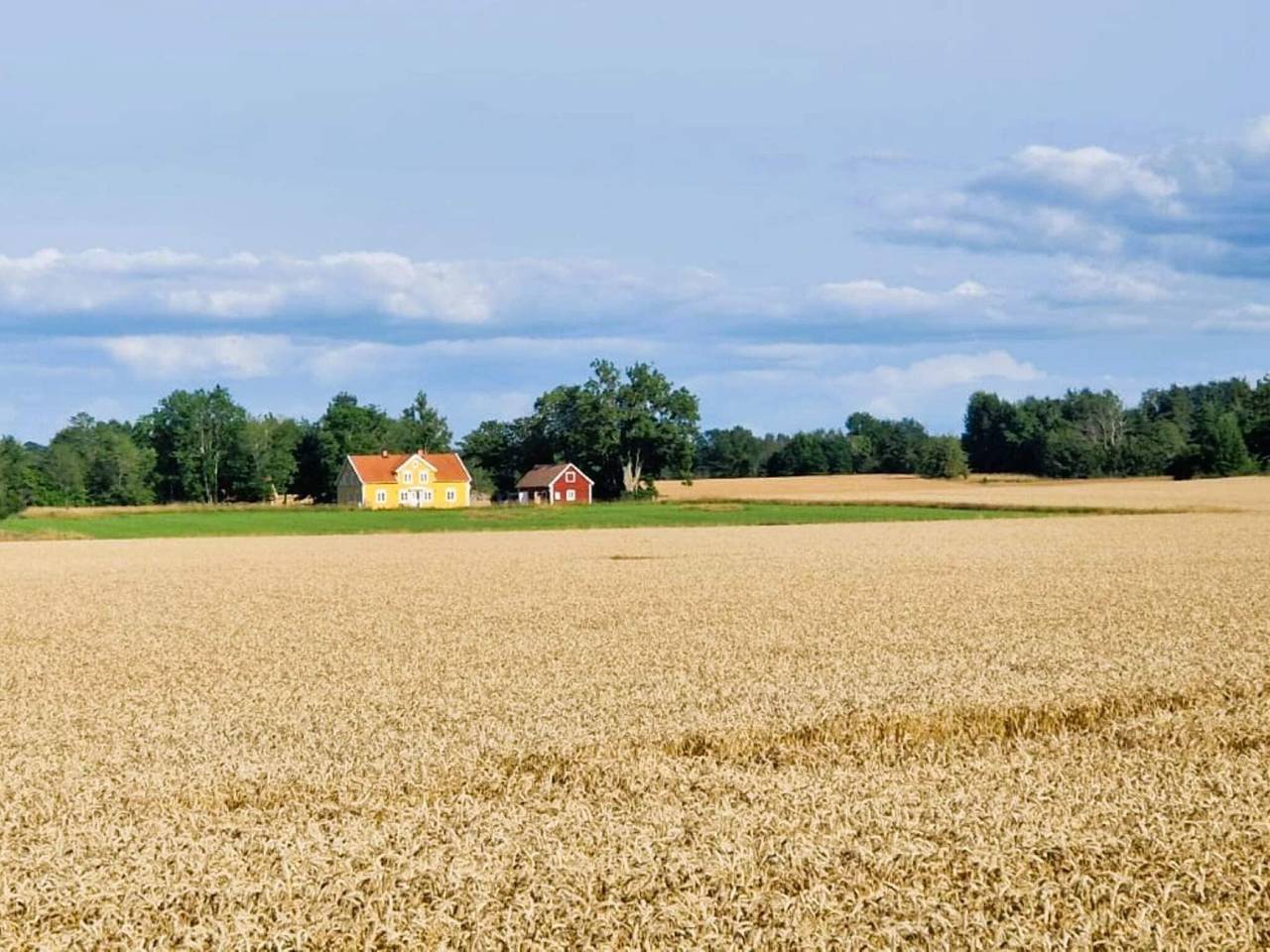 4 Sterne Ferienhaus in Ödeshög in Ödeshög, Vättern