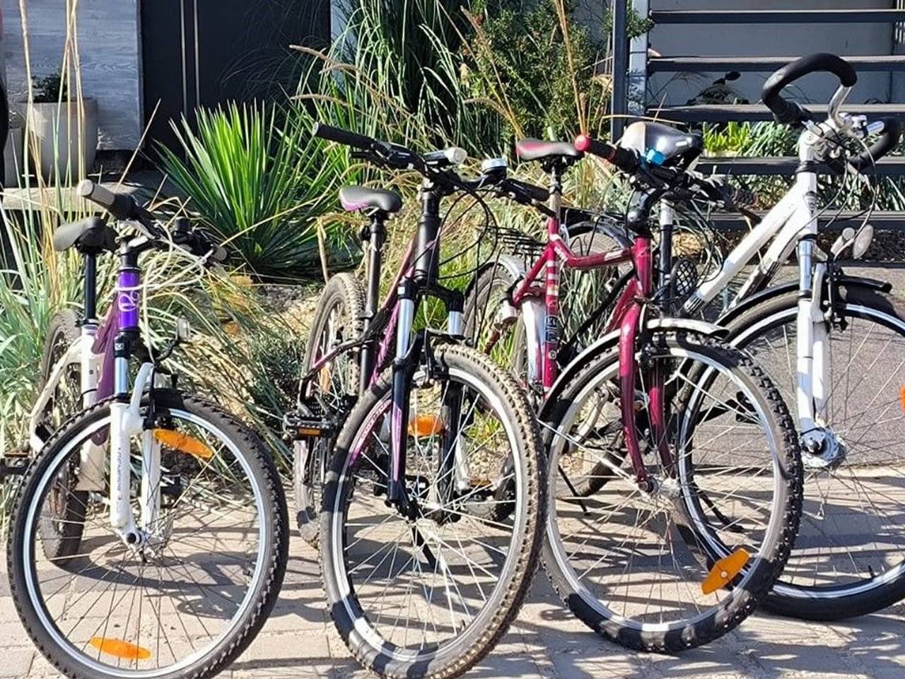 Ganze Ferienwohnung, Ostsee-Garten im Kiefernwald - Ferienwohnung mit 2 Schlafzimmern in Łukęcin, Polnische Ostsee