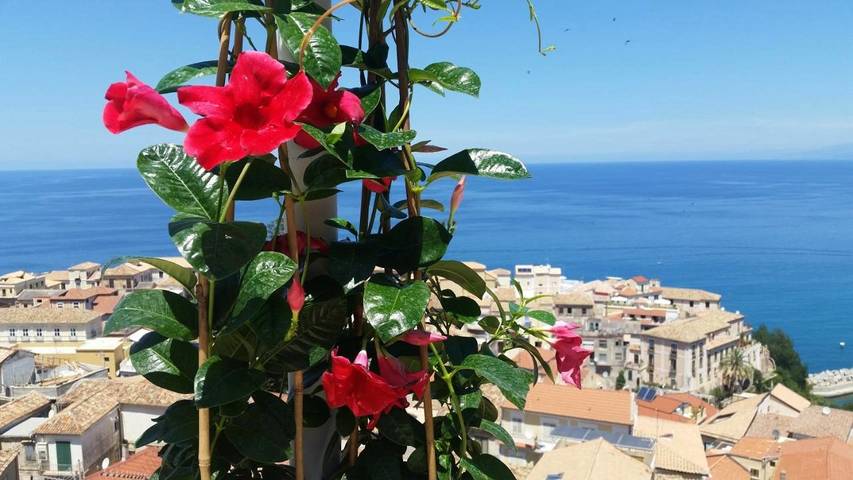 Gîte pour 7 personnes, avec vue et terrasse, animaux acceptés à Pizzo - 2