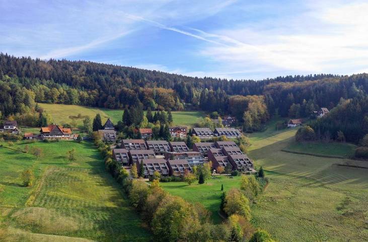 Gîte pour 3 personnes, avec vue et piscine ainsi que sauna et balcon dans Brandmatt - 2