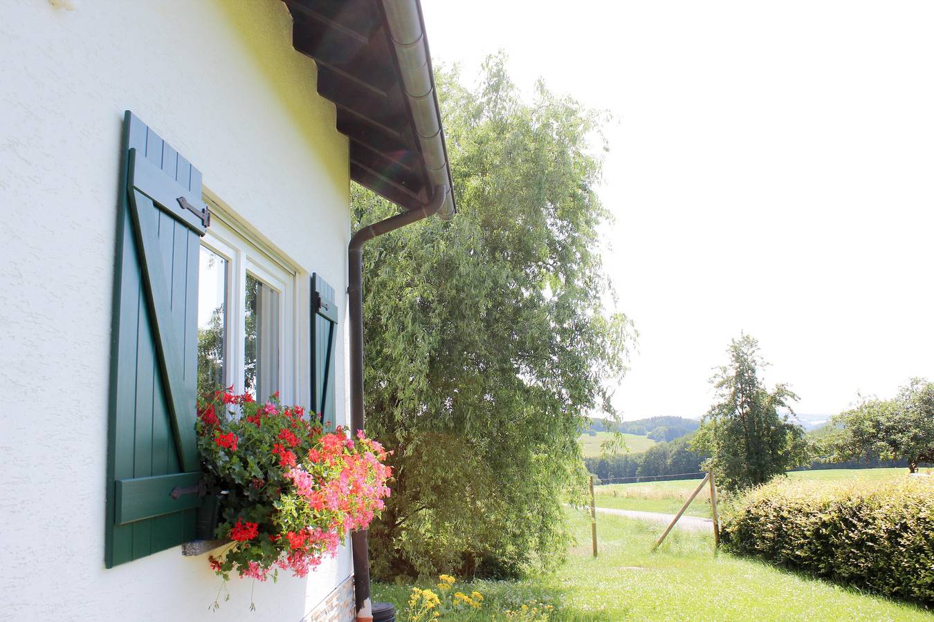 Ganze Ferienwohnung, 2-Bett-Ferienwohnung "zum Himmelreich" in Gerolstein, Vulkaneifel
