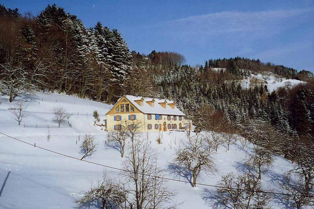 Appartement entier, Gite Fermette Francis à Lapoutroie in Lapoutroie, Parc naturel régional des Ballons des Vosges