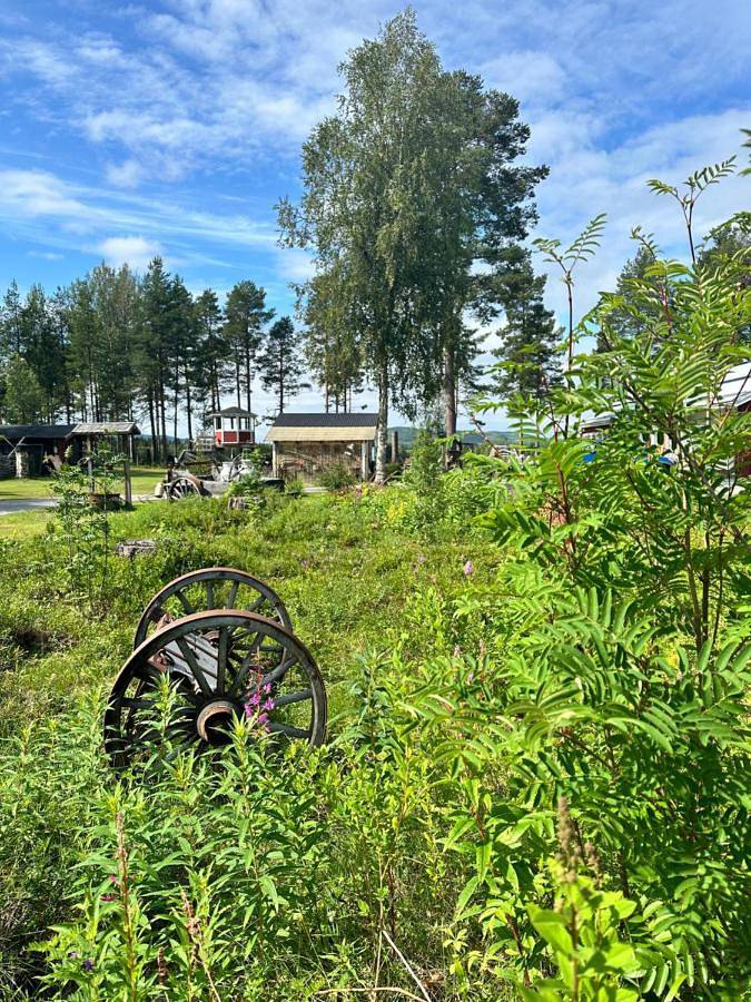 Location de vacances pour 4 personnes, avec jardin et terrasse, animaux acceptés à Sorsele - 4