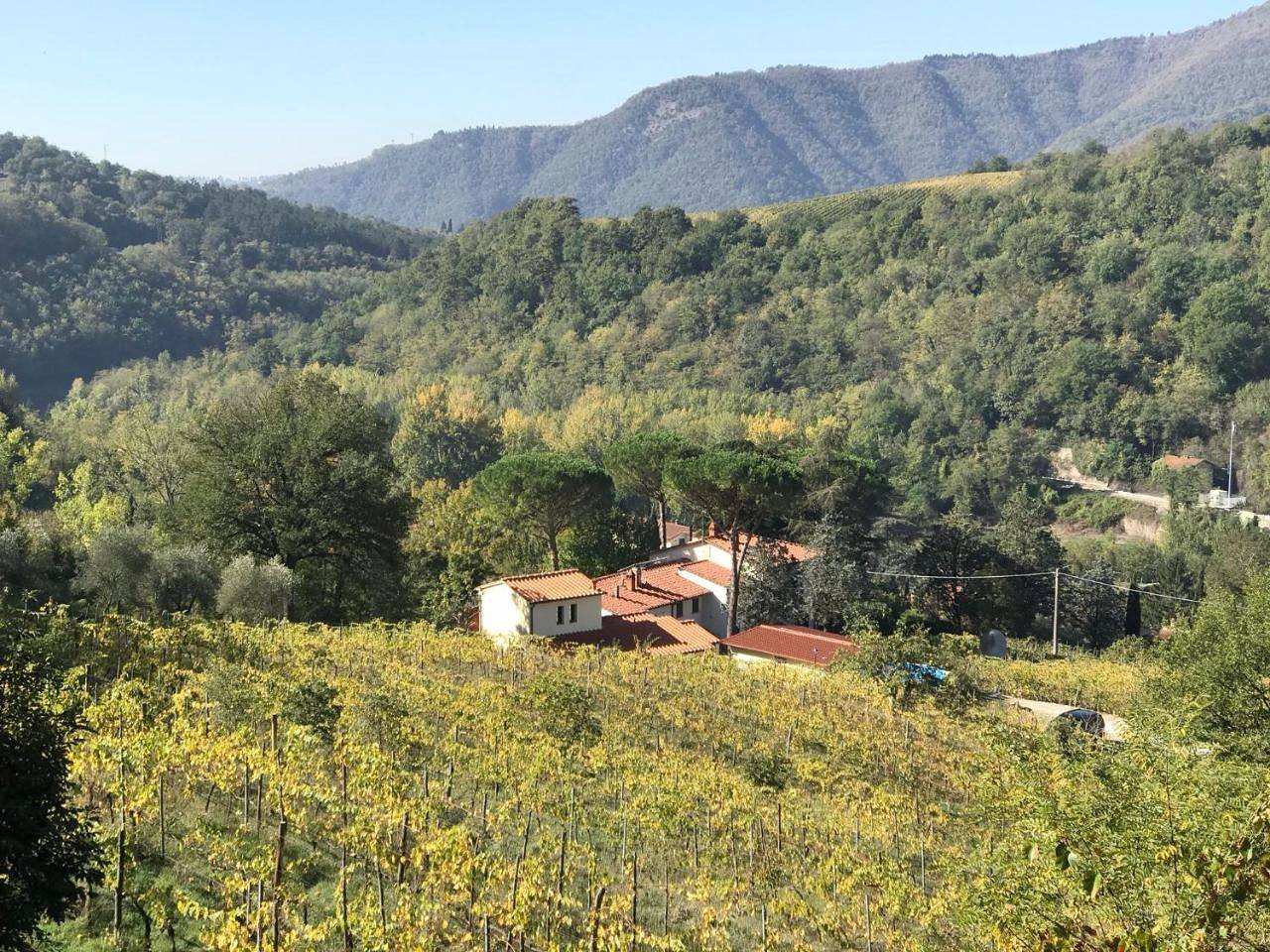 Ganze Wohnung, Il Poggiolo ai Casini in Rufina, Florenz Provinz