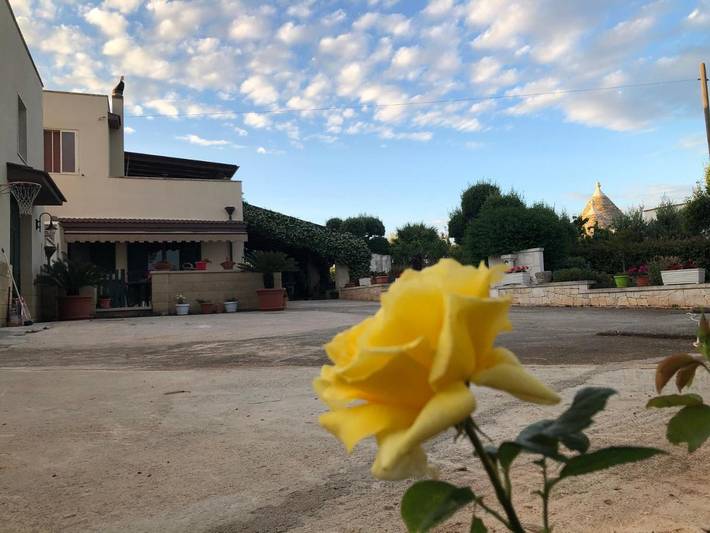 Chambre d’hôte pour 3 personnes, avec jardin et vue à Alberobello - 3