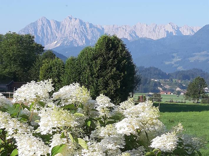 Ferienwohnung für 4 Personen, mit Garten und Balkon sowie Ausblick in Kössen - 3