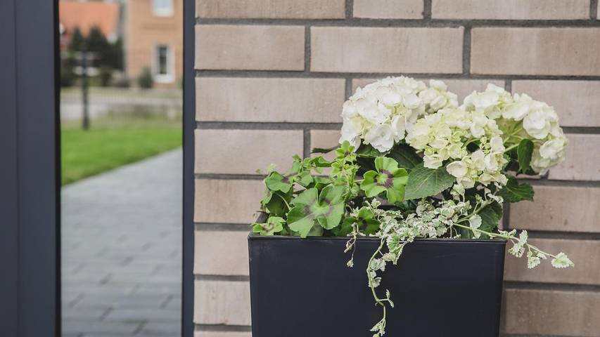 Ferienhaus für 8 Personen, mit Garten in Heide Park - 2