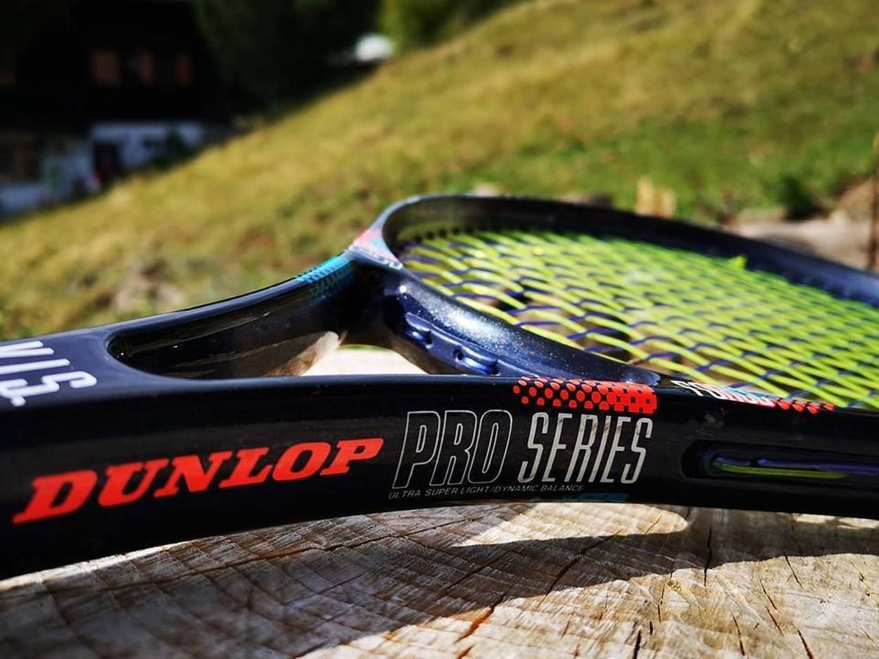 Ganze Wohnung, Chalet "Arve" in Riederalp, Aletsch Arena