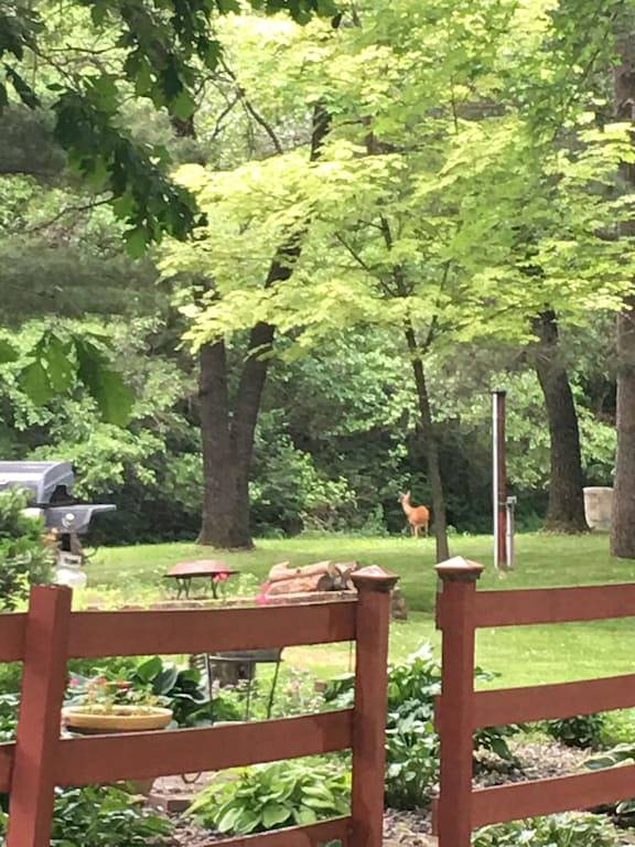 Malerische Abgeschiedenheit, nur wenige Schritte von den Backwaters des Mississippi entfernt. in Pierce County (WI)