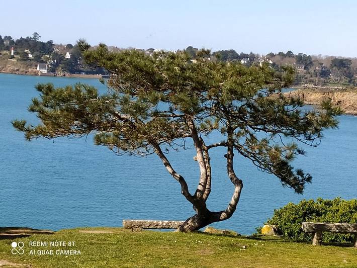 Chambre d’hôte pour 2 personnes, avec jardin à Moëlan-sur-Mer - 4