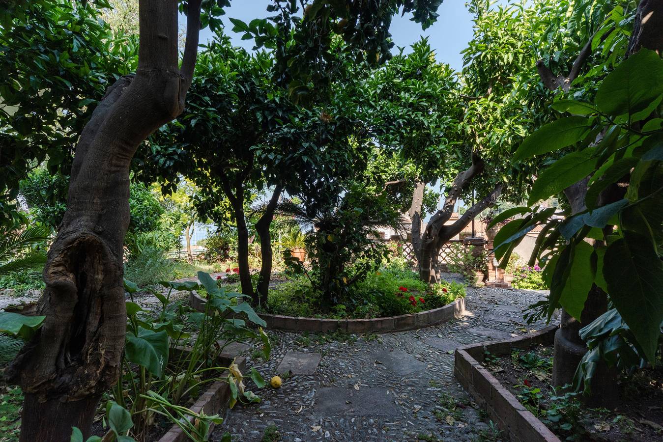 Ganze Wohnung, Giardino degli Aranci with Terrace by Wonderful Italy in Taormina, Messina Provinz