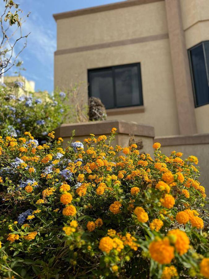 Villa per 6 persone, con terrazza e panorama nonché giardino, con animali domestici - 1