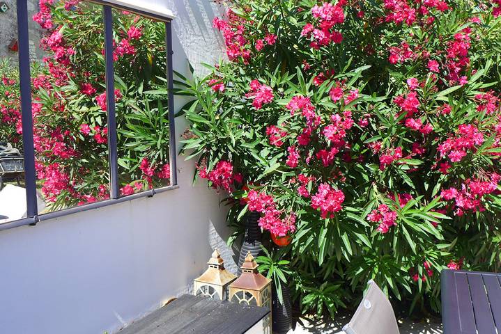 Gîte pour 10 personnes, avec piscine ainsi que terrasse et jardin à Sainte-Marie-de-Ré - 3