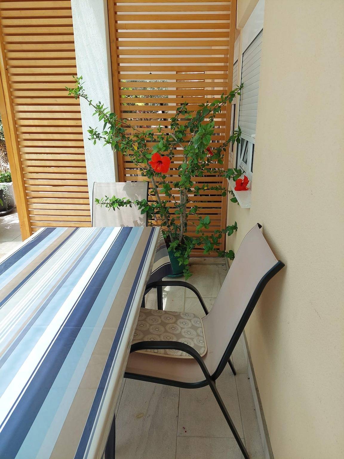 Ganze Wohnung, Studio Appartement mit Terrasse und Meerblick Duce, Omis As-13694-d in Dugi Rat, Omis-Riviera
