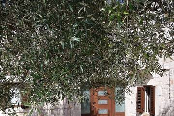 Agriturismo per 5 Persone in Locorotondo, Valle D'Itria, Foto 2