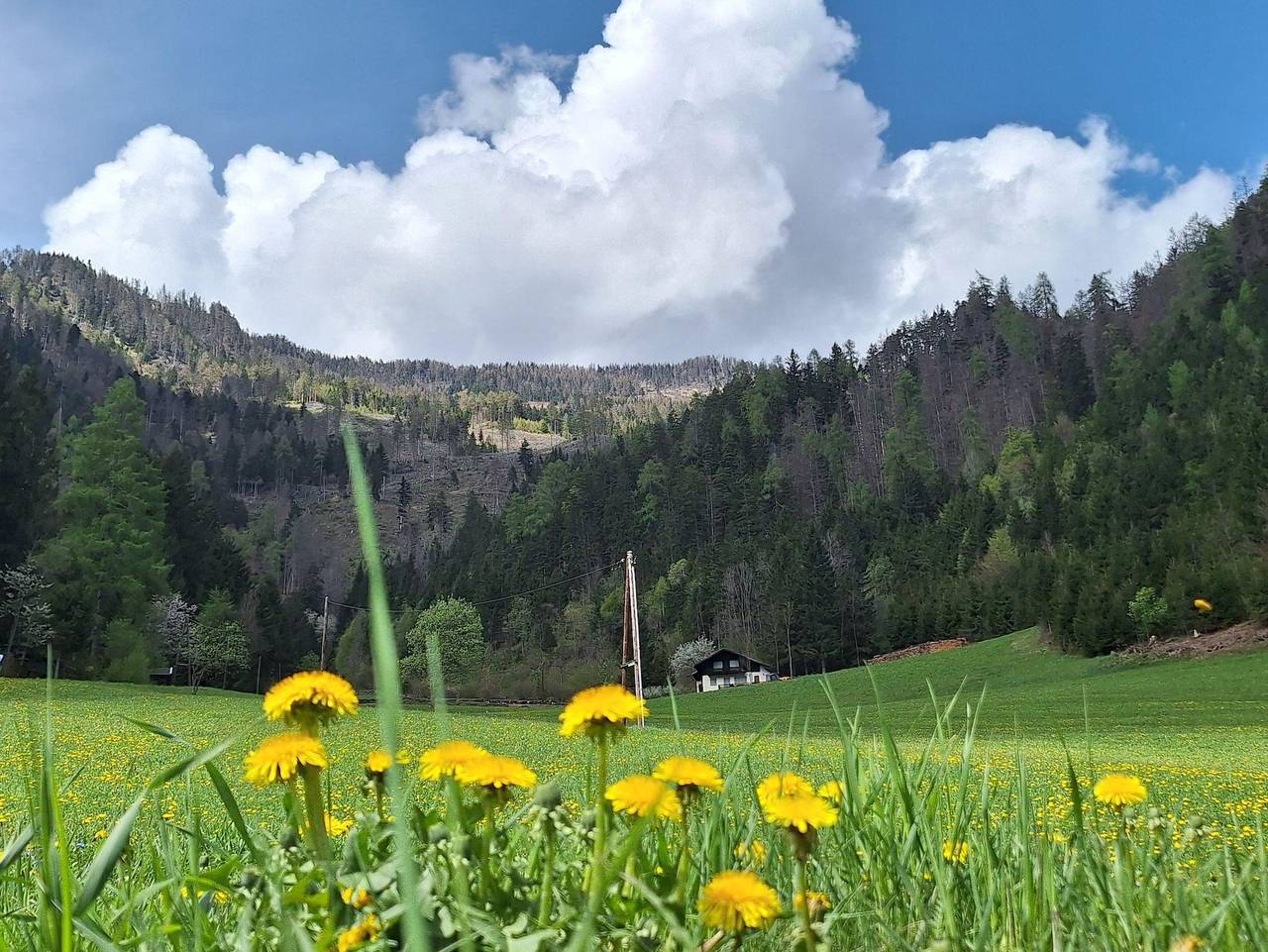 Ganze Ferienwohnung, Familie Tagger/Burgfrieden - Appartment rustikal in Leisach, Osttirol