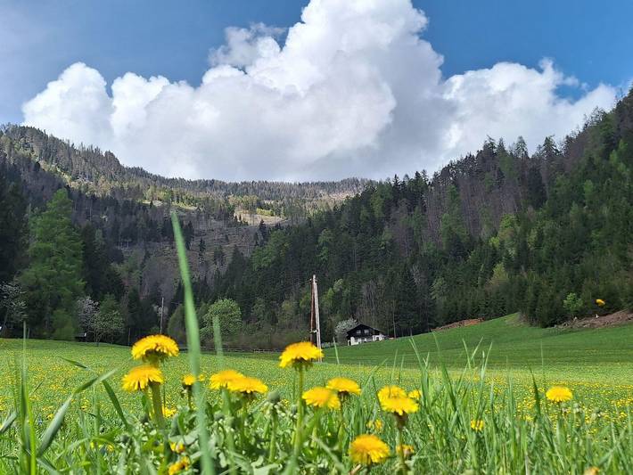 Ferienwohnung für 4 Personen, mit Garten in Tirol - 4