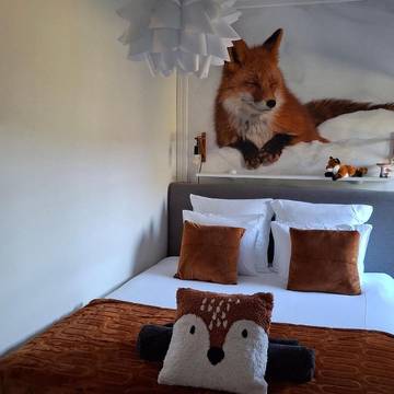 Chambre d’hôte pour 2 personnes, avec vue et jardin à Trois-Ponts