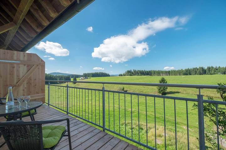 Ferienhaus für 2 Personen, mit Terrasse und Garten in Furtwangen