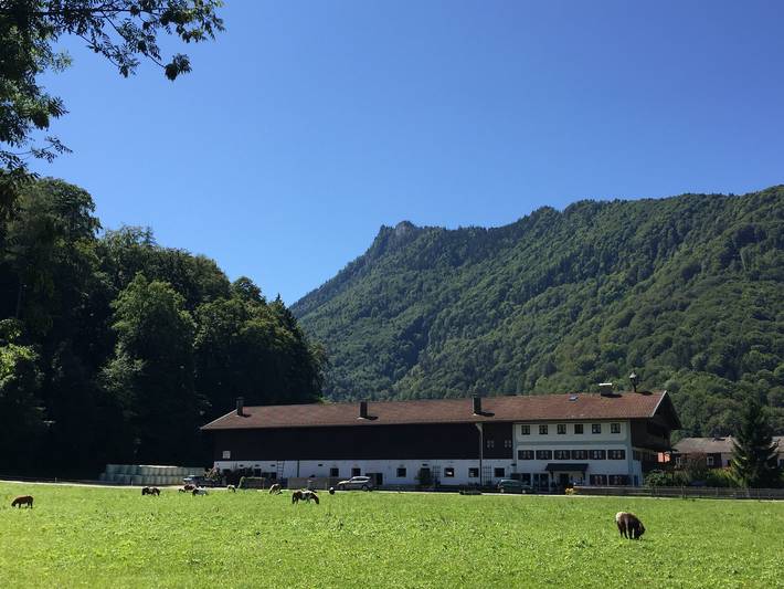 Ganze Ferienwohnung, Bauernhof Kiesmüller Hof - Ferienwohnung Nr.1 Schlafzimmer, Wohnzimmer und Süd/West-Balkon, 50 qm in Kampenwand, Aschau im Chiemgau