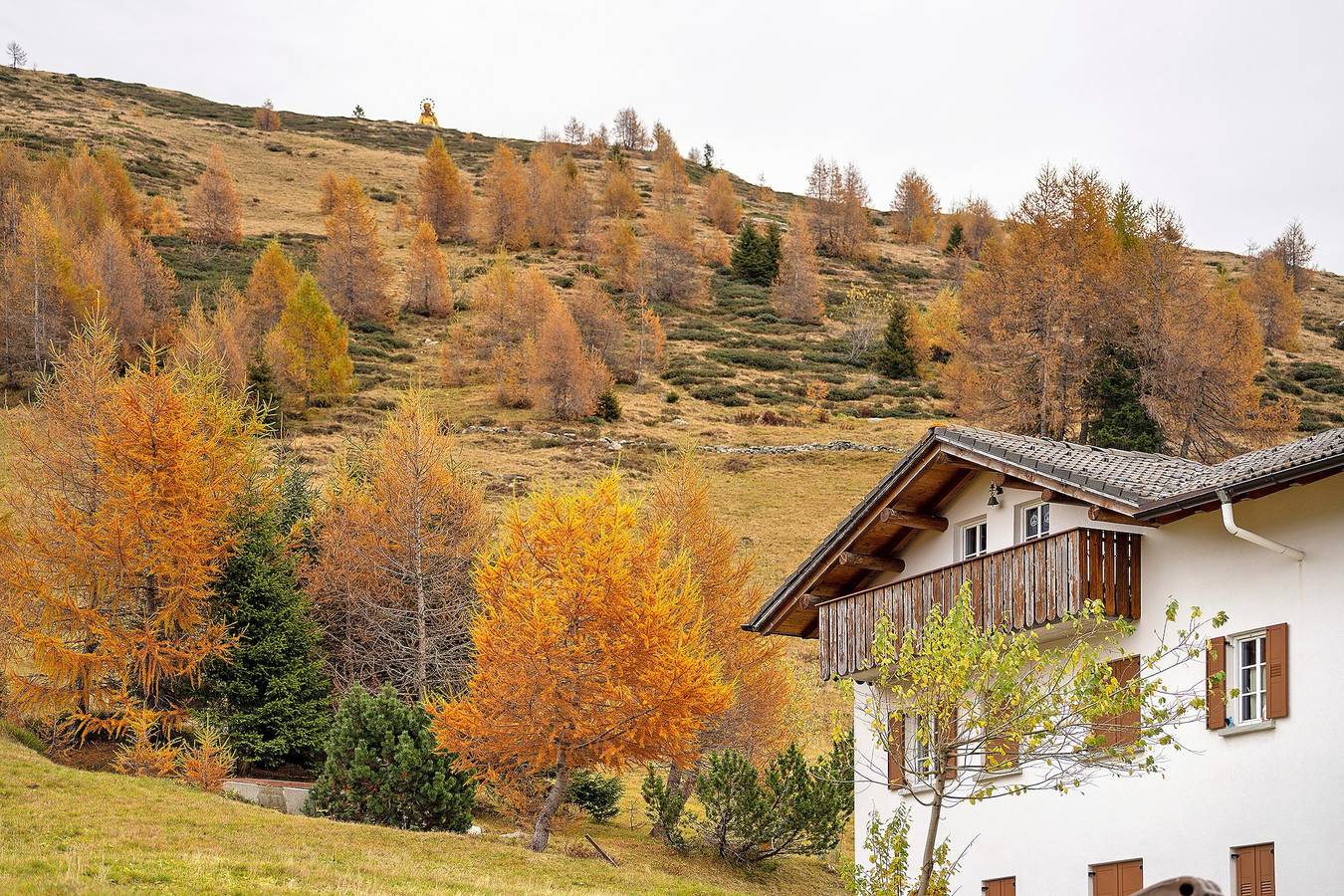 Appartamento intero, Appartamento 'La Baita Verde' con vista sulle montagne in Motta di Sotto, Campodolcino