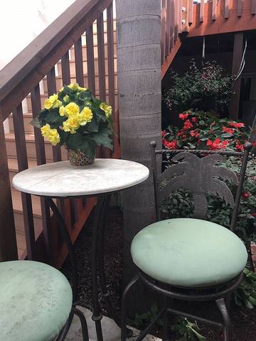 Bed And Breakfasts for 2 Guests in Encinitas, Southern California, Picture 4