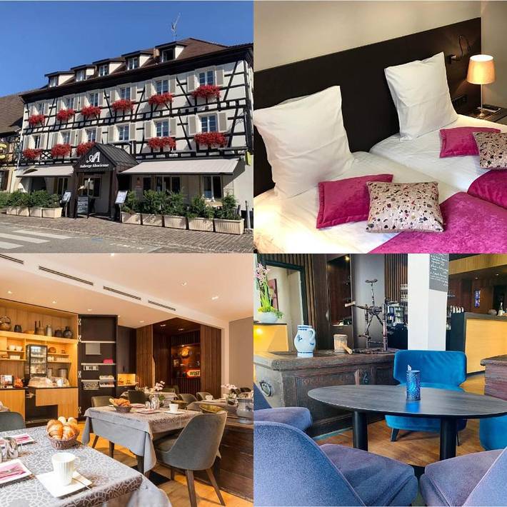 Hôtel pour 4 personnes, avec Terrasse et Vue à Eguisheim