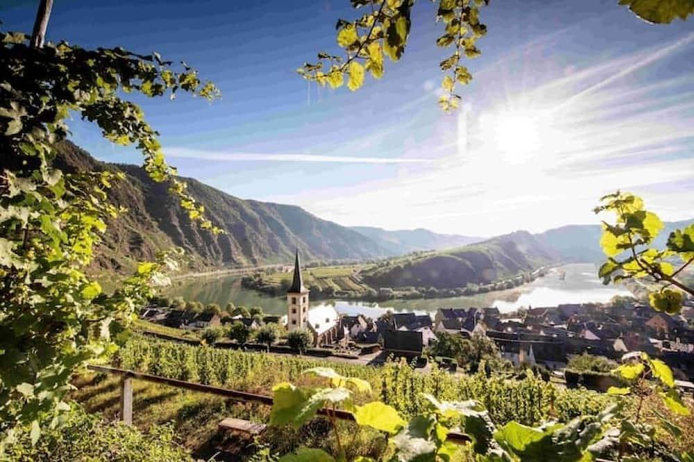 Dachsuite wohnen über den Dächern von Ediger-Eller in Ediger-Eller, Cochem-Zell