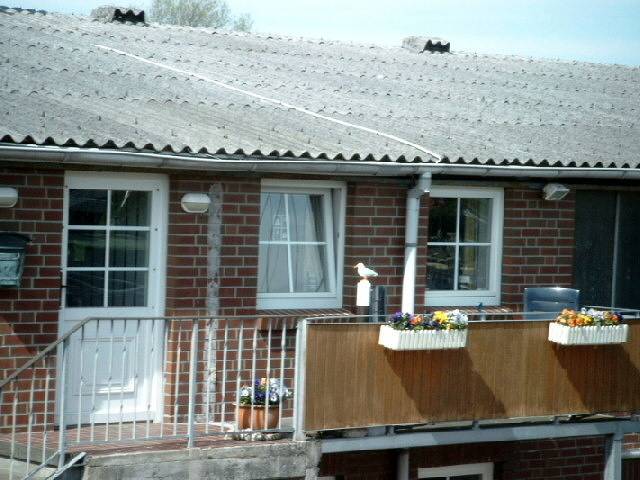 Entire apartment, Haus Landberg Fewo Kaptäins Stuuv - 1-Raum-Ferienwohnung Kaptäins Stuuv Nr. 258/101 in Port Büsum, Büsum