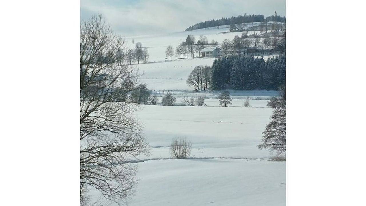 Ferienhaus für 12 Personen (200 m²) in Erndtebrück in Erndtebrück, Kreis Siegen-Wittgenstein