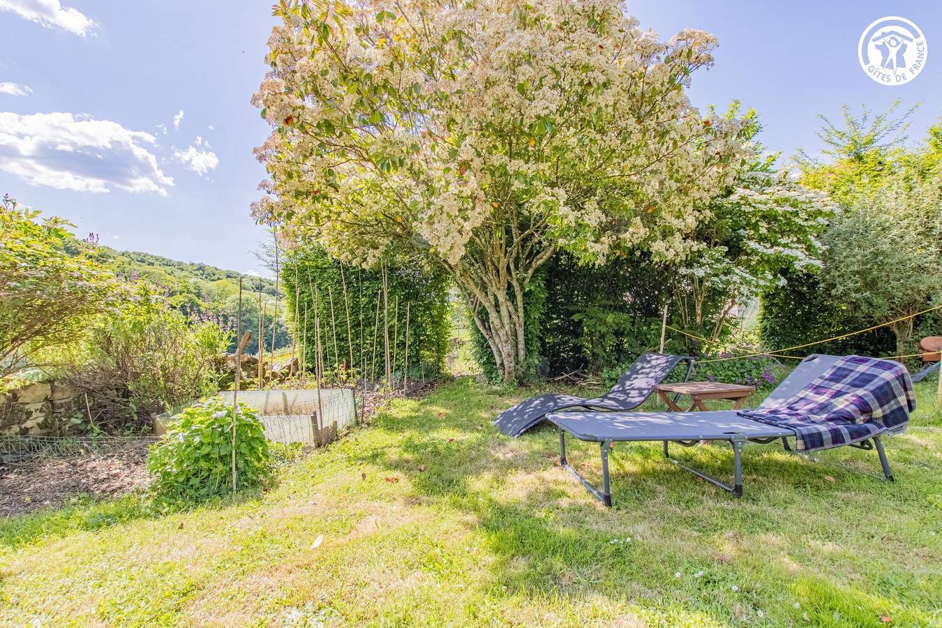 le Cocon du Croux, foto 7