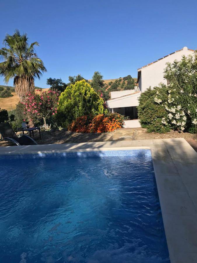 Casa rural para 10 personas, con vistas además de terraza y piscina, Se admiten mascotas en Algodonales - 4