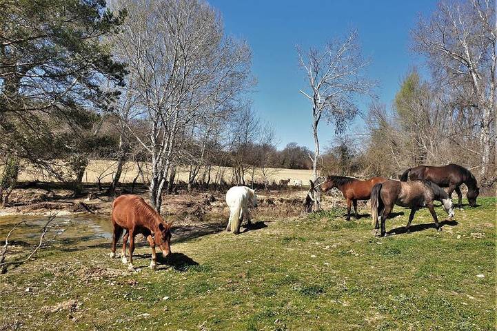 Gîte pour 5 personnes, avec piscine à Lurs - 4