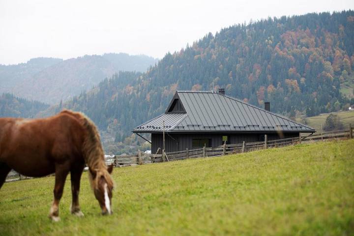 Dom wakacyjny dla 2 osób, z balkon i widok, Dla rodziny w Ukraina