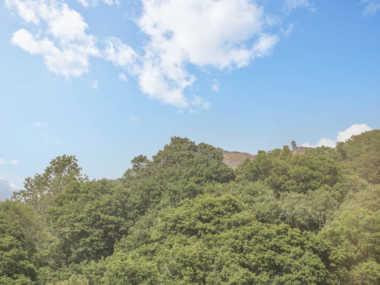 4 Tanyrallt Terrace in Llangollen, Denbighshire