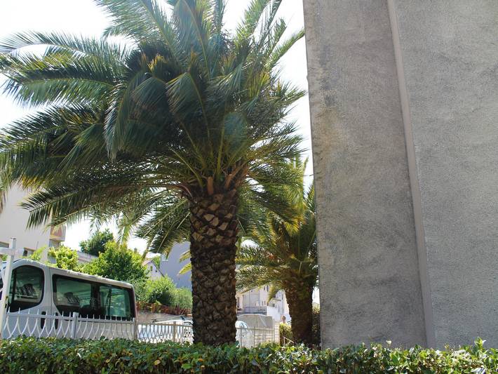 Ferienwohnung für 6 Personen, mit Balkon in Split - 3