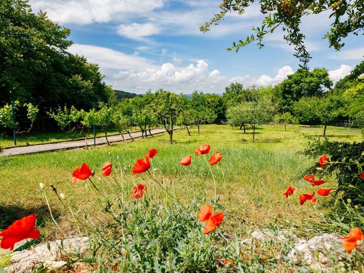 Ferienhaus für 3 Personen, mit Terrasse und Garten am Balaton - 4