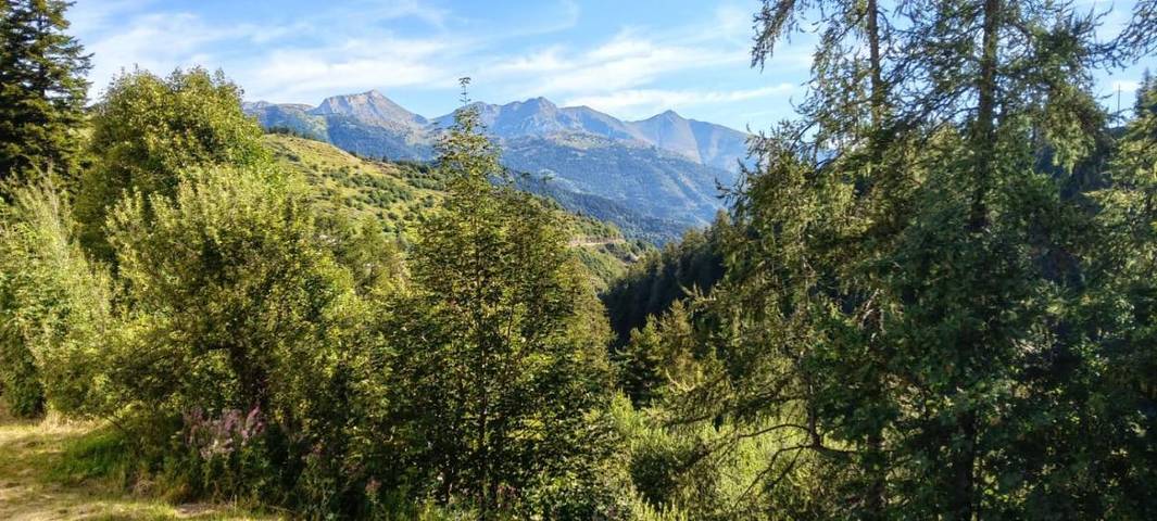 Gîte pour 4 personnes, avec Vue à Triora