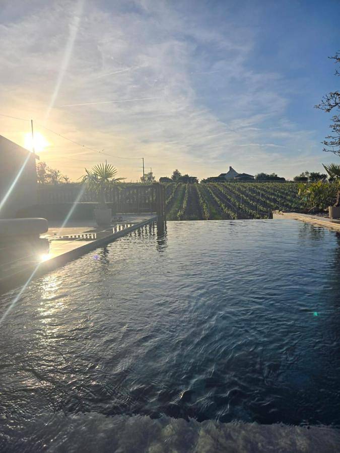 Location de vacances pour 15 personnes, avec vue ainsi que piscine et jardin, animaux acceptés à Saint-Aubin-de-Luigné