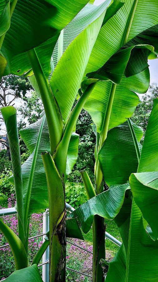 Maison d’hôte pour 2 personnes, avec vue ainsi que jardin et piscine dans Essonne - 2