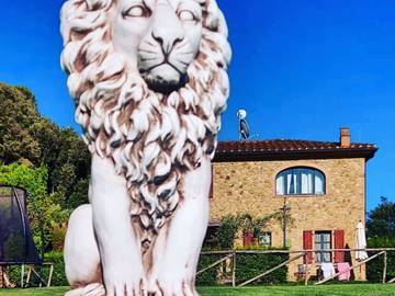 Agriturismo per 2 Persone in Riparbella, Riviera Toscana, Foto 3