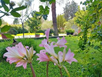 Location de vacances pour 4 personnes, avec vue et jardin à Pedara