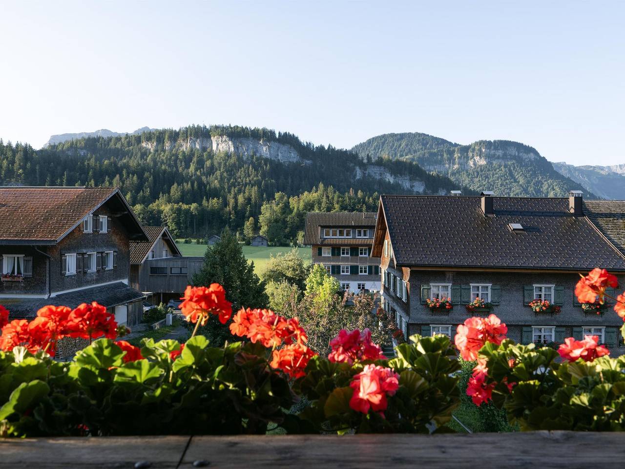 Gadô Zimmer & Appartements - Gadô 4 in Bregenzerwald (Vorarlberg), Bezau