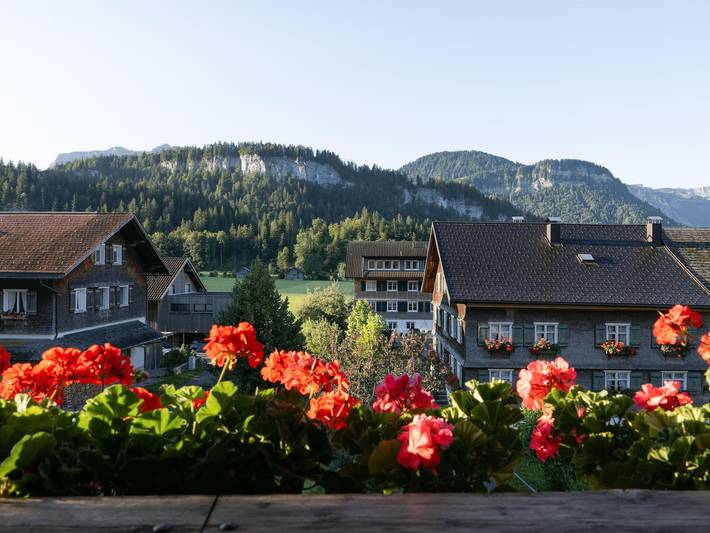 Gadô Zimmer & Appartements - Gadô 4 in Bregenzerwald (Vorarlberg), Bezau