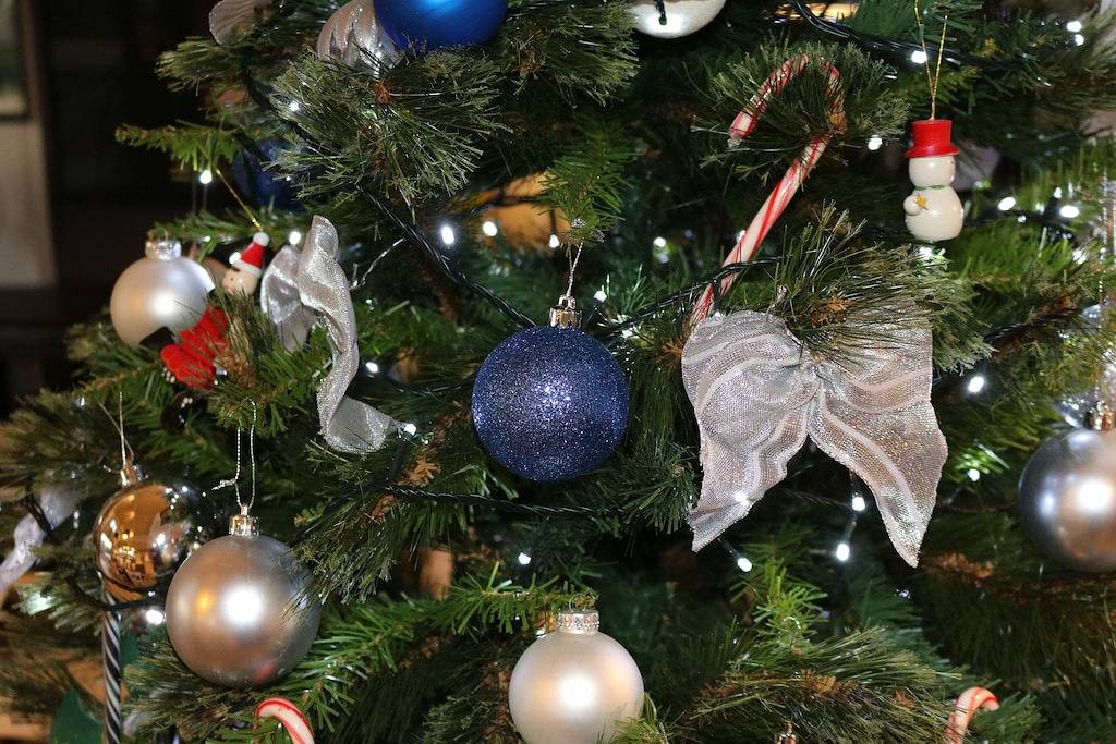 'The Barn' - Landausflug ideal für Paare und Familien - Spielzimmer und Wildtiere in New South Wales