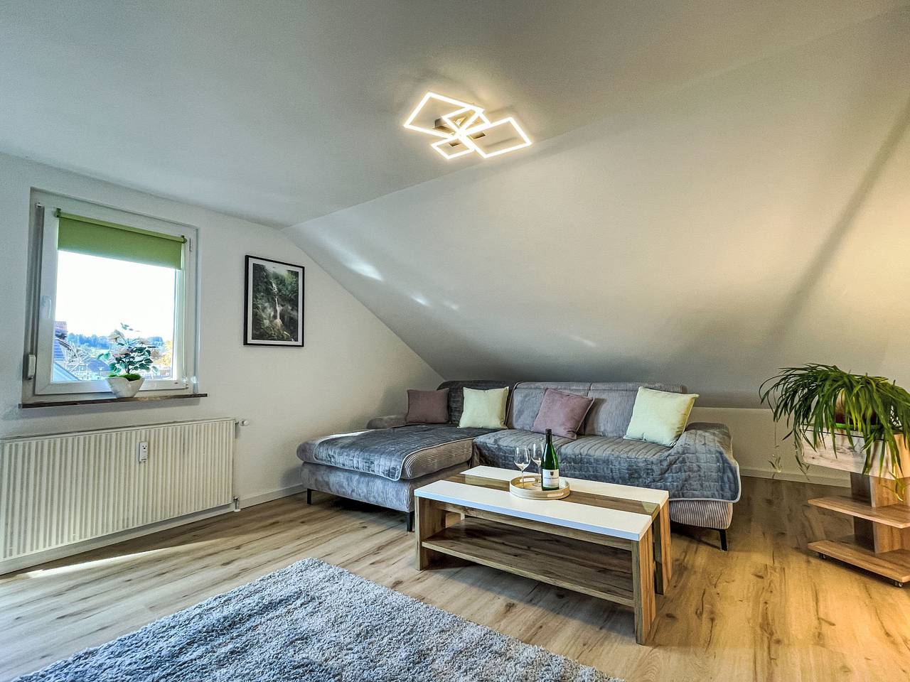 Ganze Wohnung, Alexanders Domizil in Schonach, Südschwarzwald
