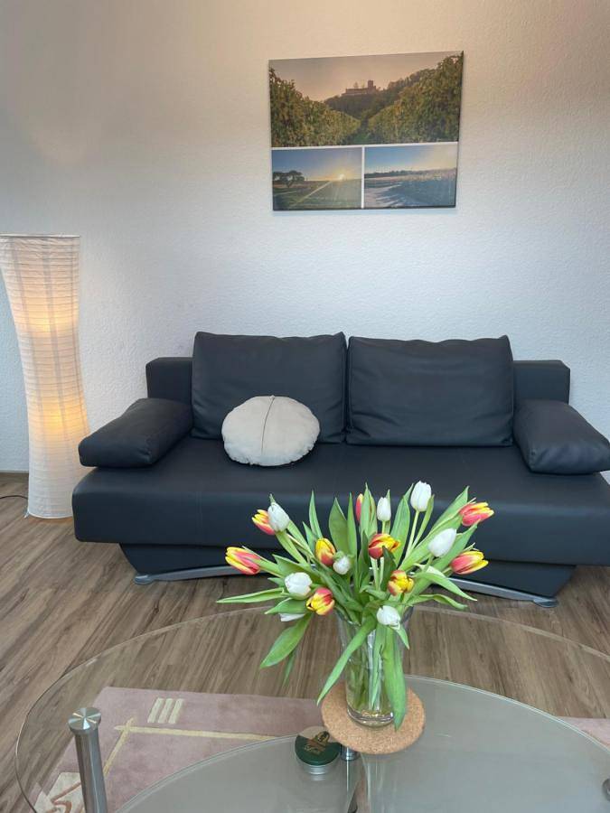 Ganze Wohnung, One-Bedroom Apartment in Heuchelheim-Klingen, Südliche Weinstraße