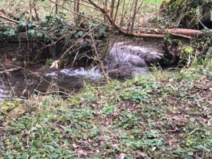 Location de vacances pour 14 personnes, avec terrasse et jardin, animaux acceptés à Vernou-la-Celle-sur-Seine - 3