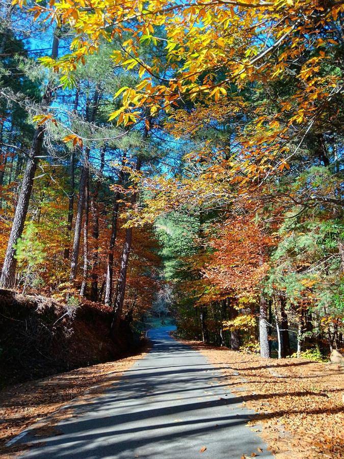Estrellas de Gredos in Arenas de San Pedro, Valle del Tiétar